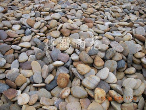 Cobblestone2-4cm Flat stone